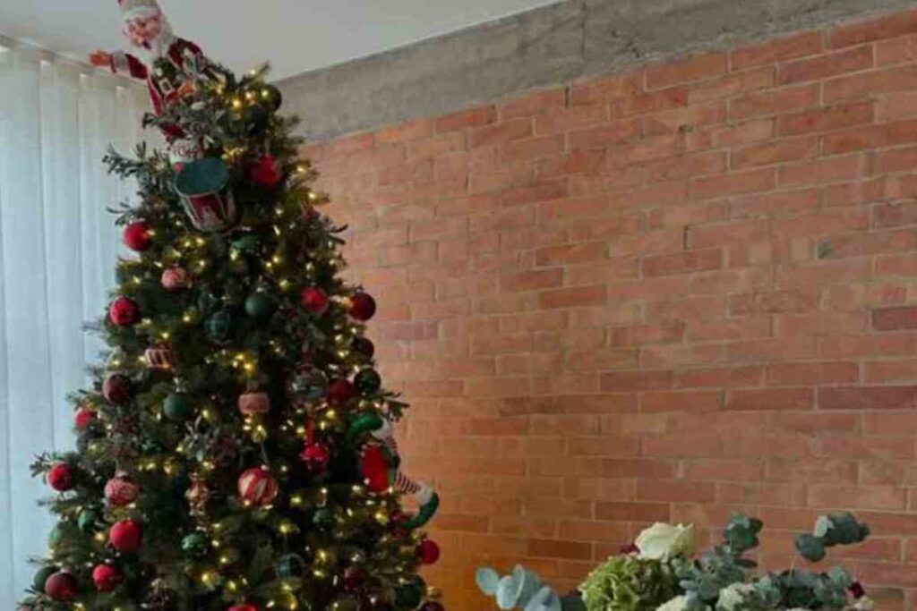 Stefano De Martino Avete Visto Cosa Ha Messo Sul Suo Albero Di Natale Incredibile