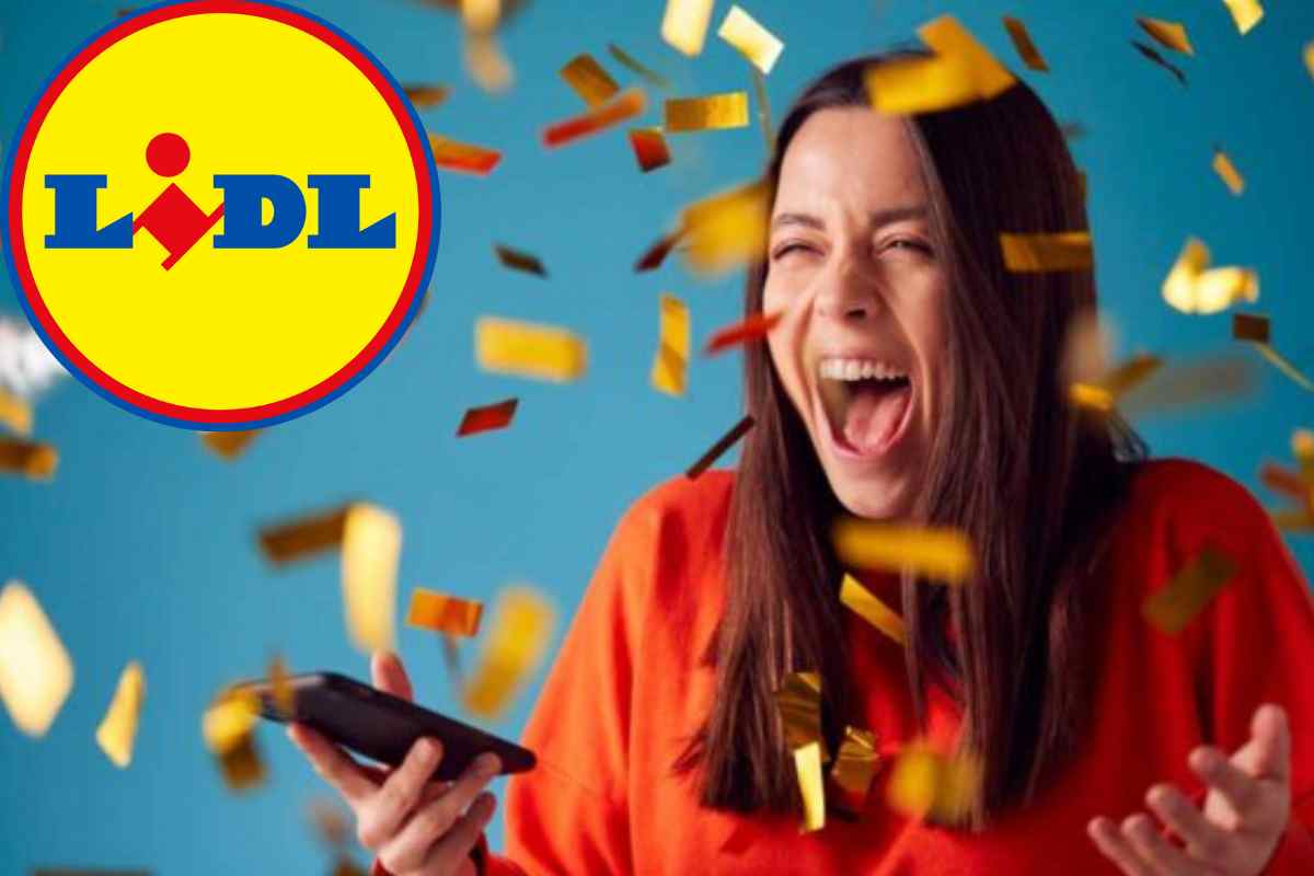 Lidl elettrodomestico prezzo