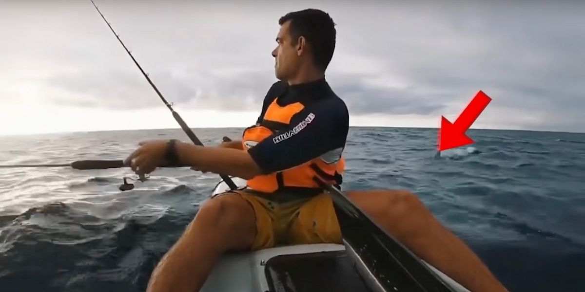 Stava pescando in totale tranquillità fino a quando... VIDEO